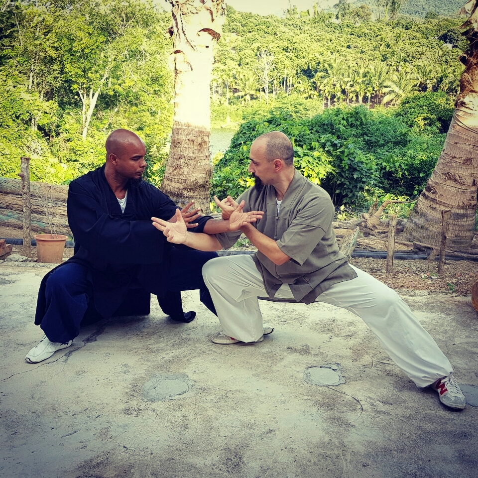 Wudang Principles - Kung Fu & Tai Chi | 24 Alexander St, Brampton, ON L6V 1H6, Canada | Phone: (647) 408-6004