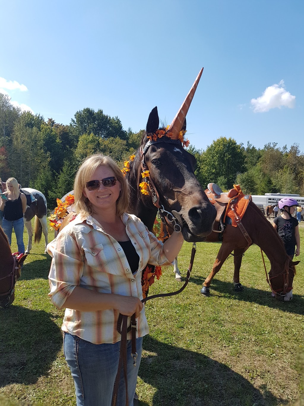 Jds Tack Room ~ please call or text to make an appointment | 999 Con 4 E, Chepstow, ON N0G 1K0, Canada | Phone: (519) 881-7727