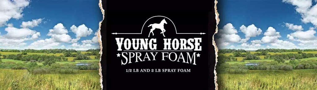 Young Horse Spray Foam | Box 483 Stn Main, Moose Jaw, SK S6H 4P1, Canada | Phone: (306) 630-5454