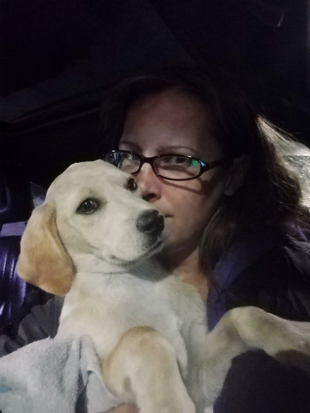 K9s, Kitties & Kritters Pet Sitting | 1070 Garfield St N, Winnipeg, MB R3E 2N8, Canada | Phone: (204) 880-4451