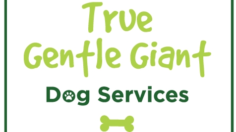 True Gentle Giant Dog Services | 78 Beck Dr, Markham, ON L3P 5J9, Canada | Phone: (416) 817-4033