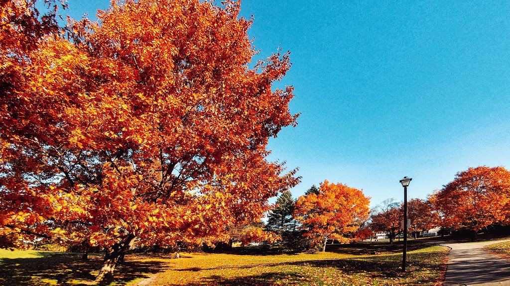 Owl Park | 215 Owl Dr, Ottawa, ON K1V, Canada | Phone: (613) 580-2595