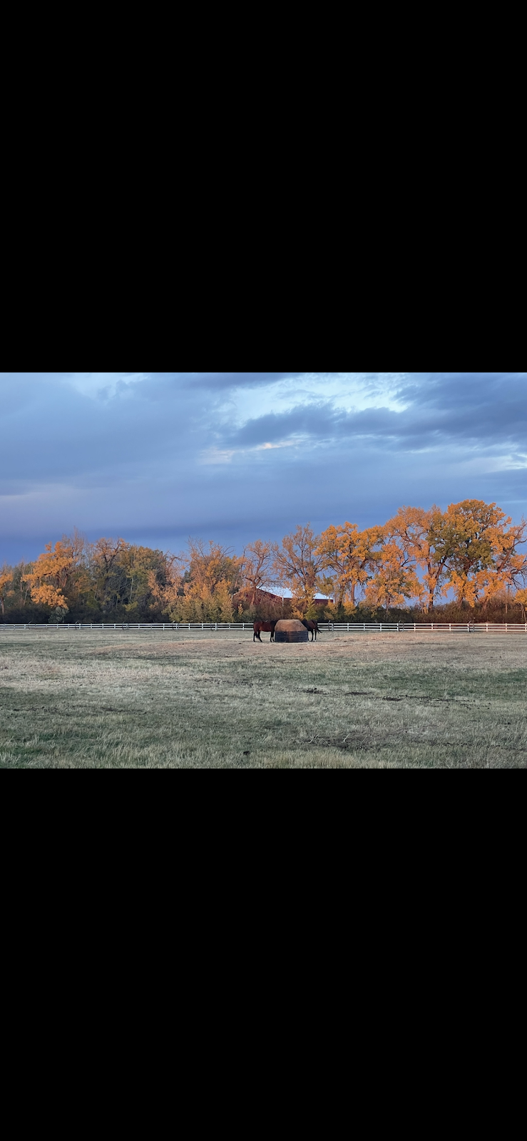 Stone Ridge Equestrian Centre Ltd. | 91075 Range Rd 211, Lethbridge County, AB T1J 5P6, Canada | Phone: (403) 915-3057