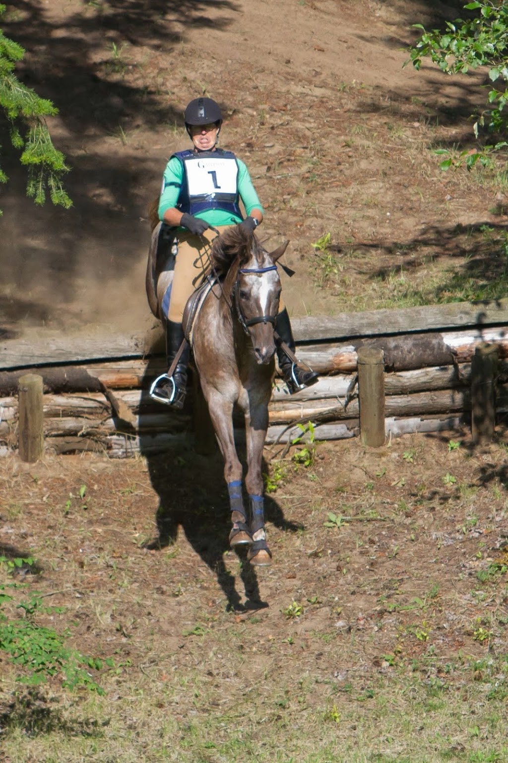 Topline Stables & Show Park | 151 60 St SE, Salmon Arm, BC V1E 1W4, Canada | Phone: (250) 833-2669
