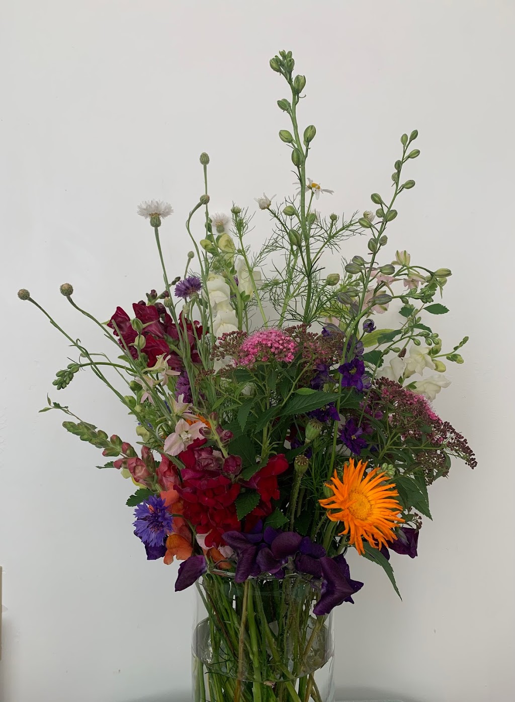 Bluewater Flower Farm | 39 Blue Water Pkwy, Selkirk, ON N0A 1P0, Canada | Phone: (905) 818-9121