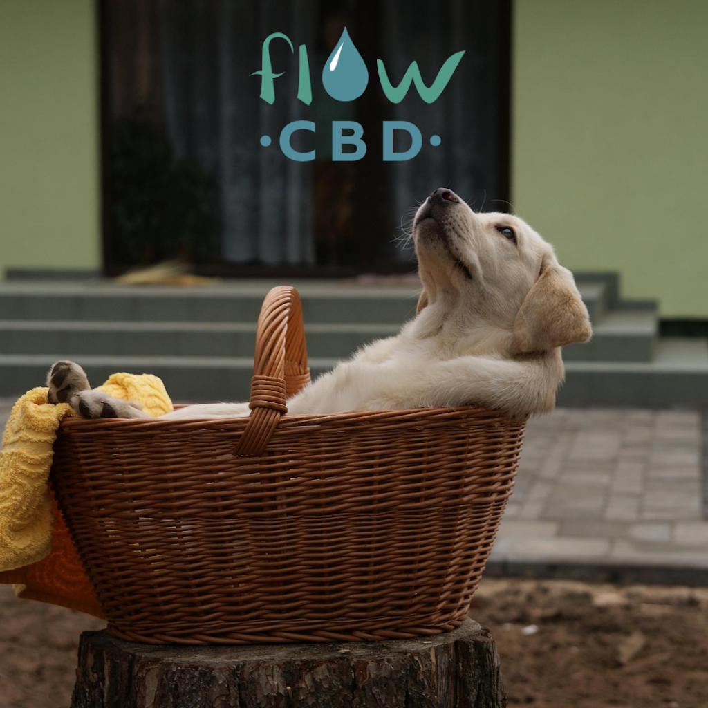 Flow CBD | 5261 Hwy 7, Markham, ON L3P 1B8, Canada | Phone: (289) 806-0902