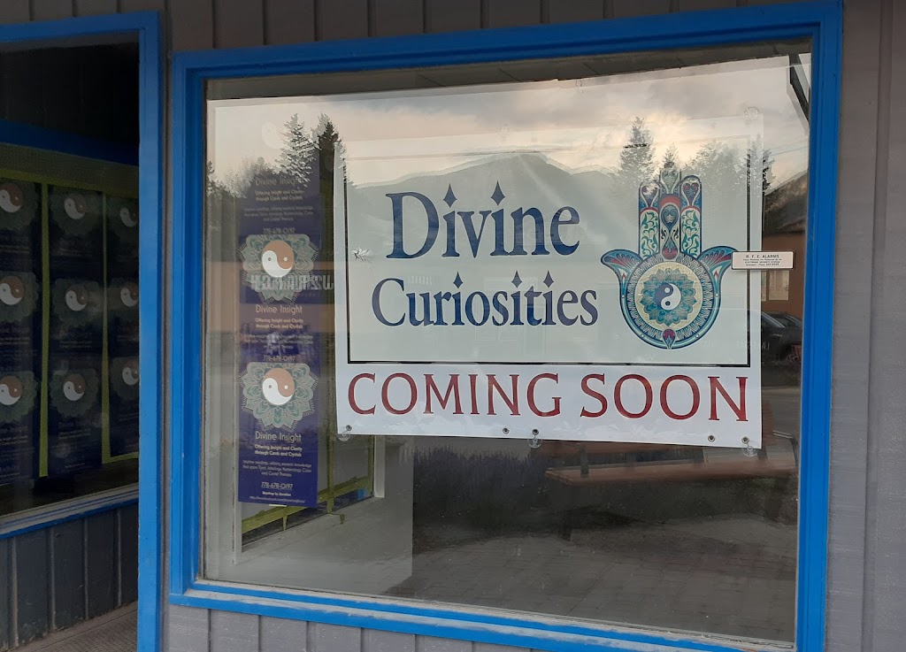 Divine Curiosities | 7585 Main St W Unit 4, Radium Hot Springs, BC V0A 1M0, Canada | Phone: (778) 678-0197