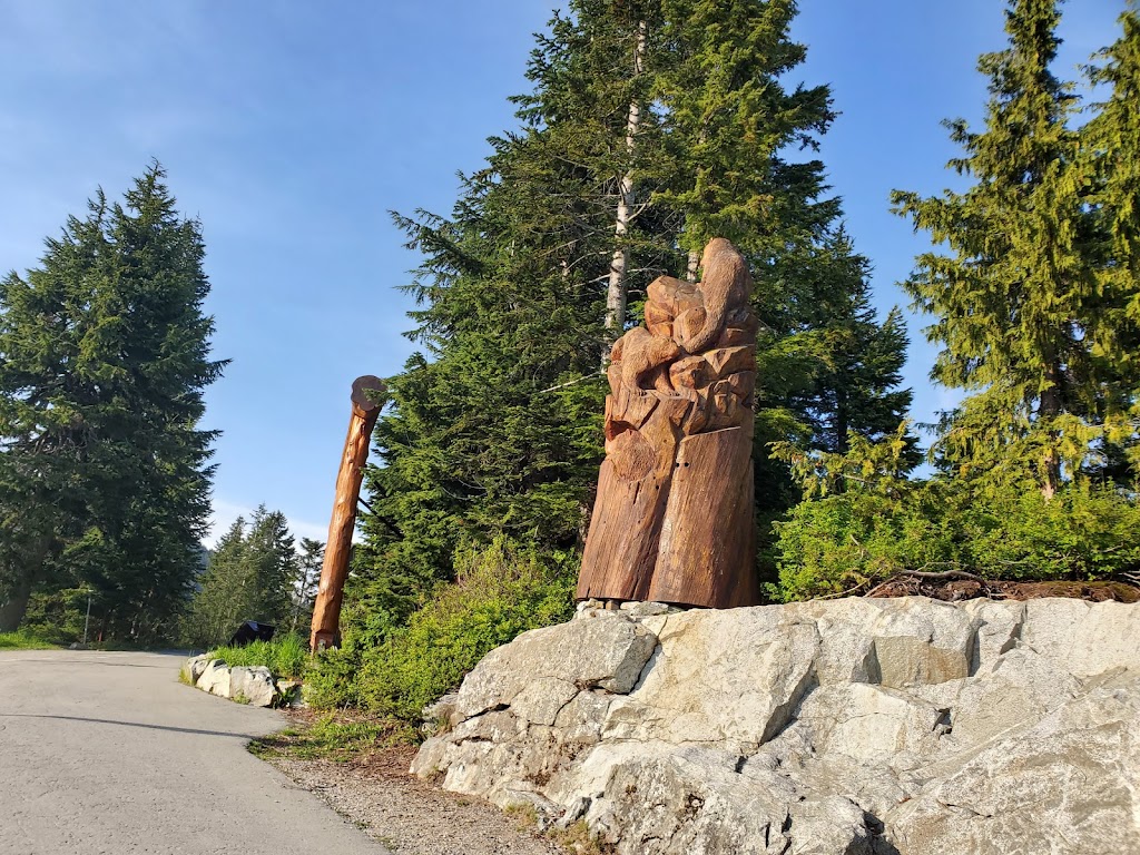 Grouse Mountain | 6400 Nancy Greene Way, North Vancouver, BC V7R 4K9, Canada | Phone: (604) 980-9311