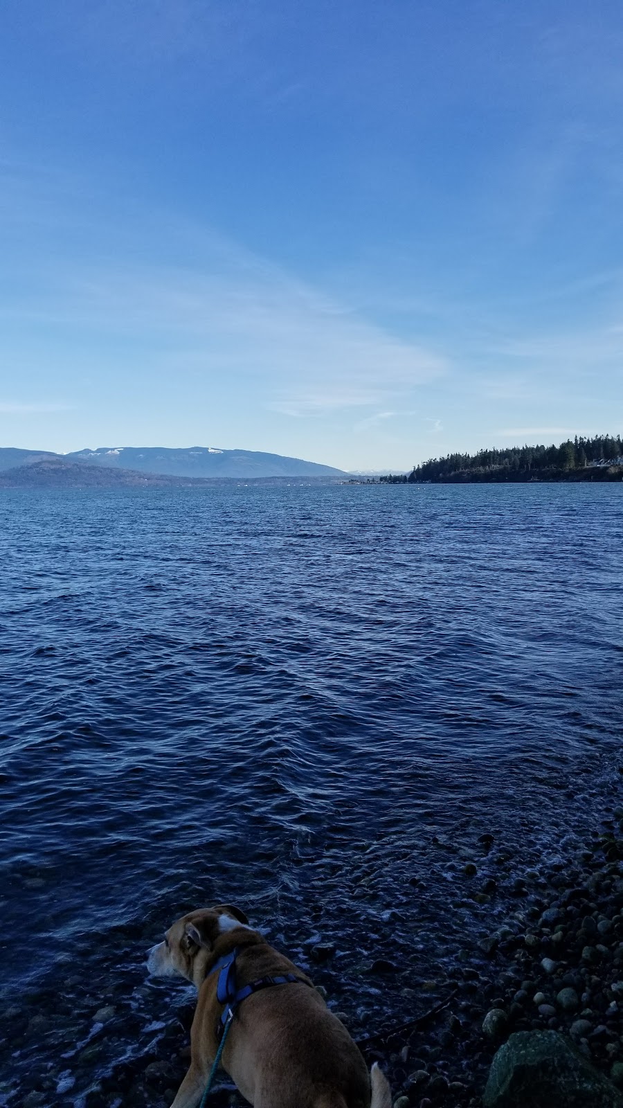 Samish Island Public Beach Access | 4664 Wharf Rd, Bow, WA 98232, USA