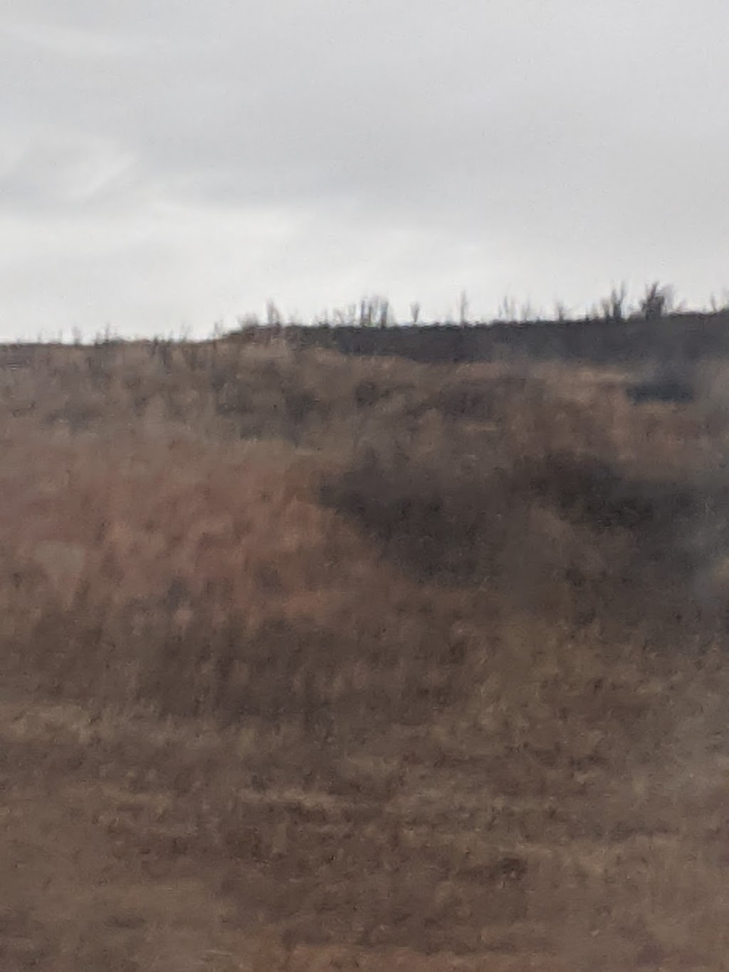 Mosquito First Nation | Unnamed Road, 0V0, Cando, SK S0K 0V0, Canada | Phone: (306) 937-6120