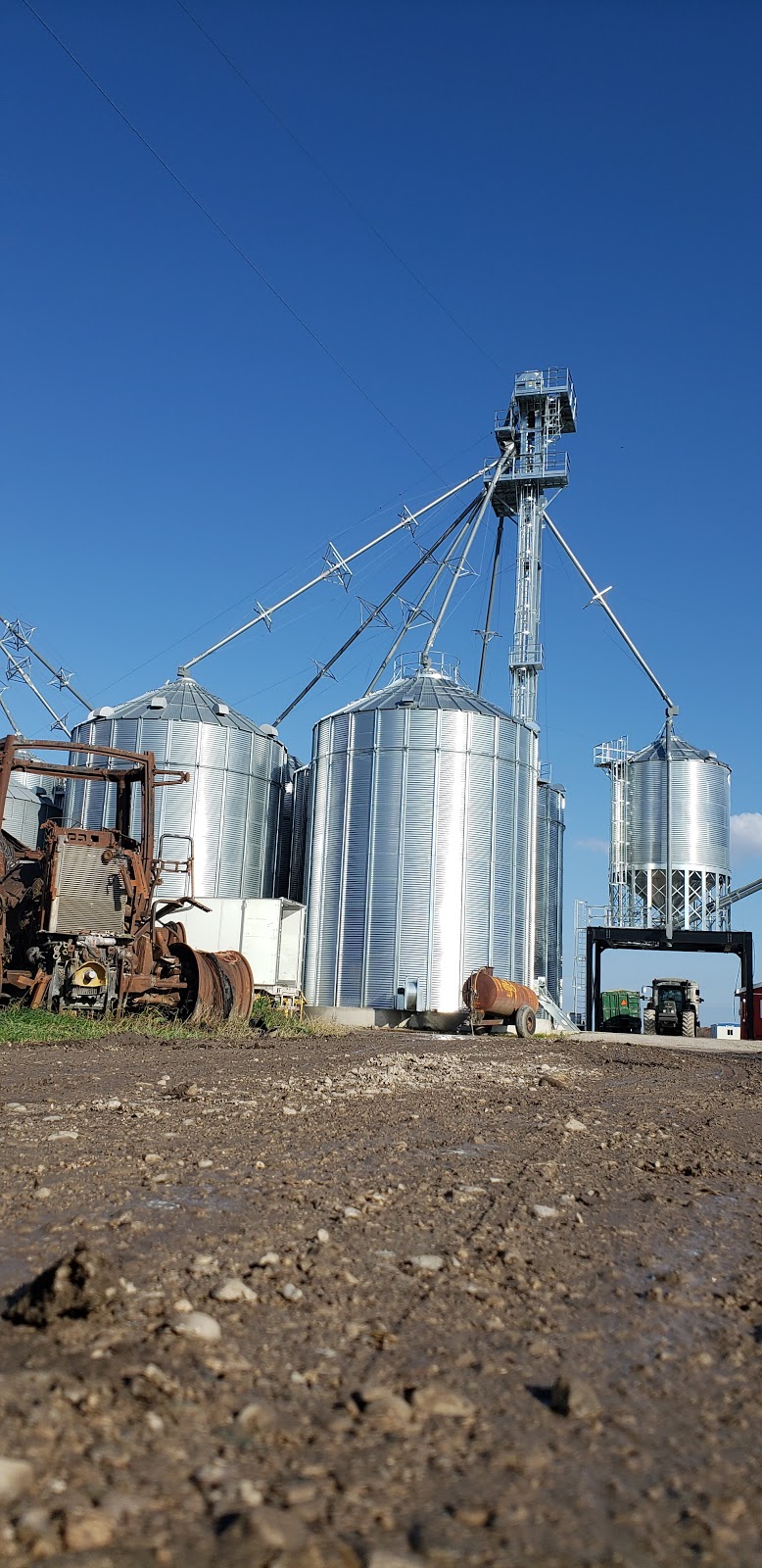 Konzelmann Farms | 5029 Churchill Line RR#3, Wyoming, ON N0N 1T0, Canada | Phone: (519) 845-3046