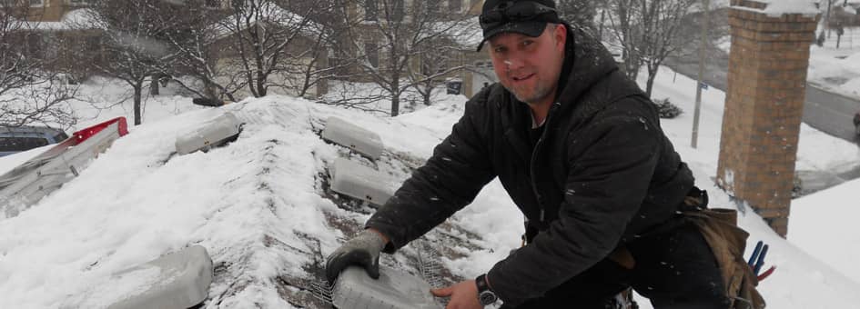 Four Seasons Wildlife Removal - Squirrel | Bird, Raccoon Removal | 88 Cedarcrest Blvd, East York, ON M4B 2P3, Canada | Phone: (416) 761-9777