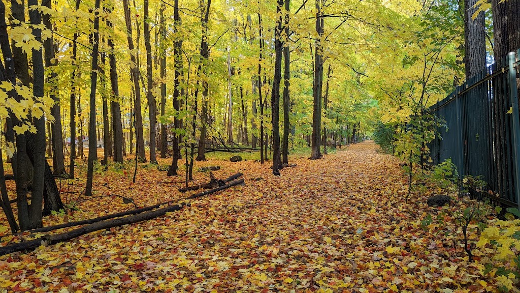 Richelieu Vanier Park | 300 Pères-Blancs Ave, Ottawa, ON K1L 7L5, Canada | Phone: (613) 842-9871