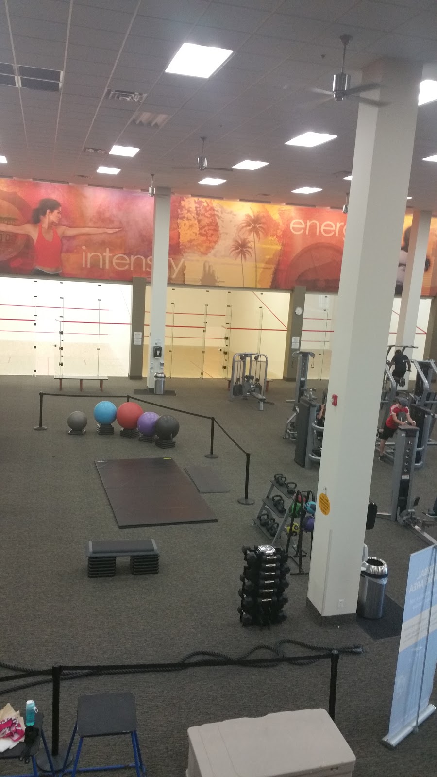 LA Fitness | gym | 350 Taunton Rd E, Whitby, ON L1R 0H4, Canada | 2896452863 OR +1 289-645-2863