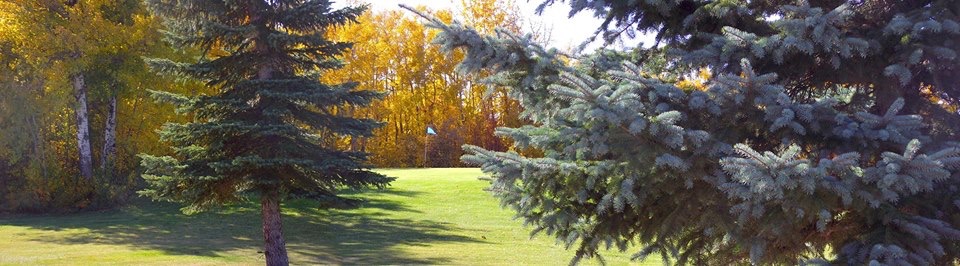 Calahoo Hills Golf Course | 54410 Range Rd 280, Sturgeon County, AB T8R 1Z5, Canada | Phone: (780) 459-9081
