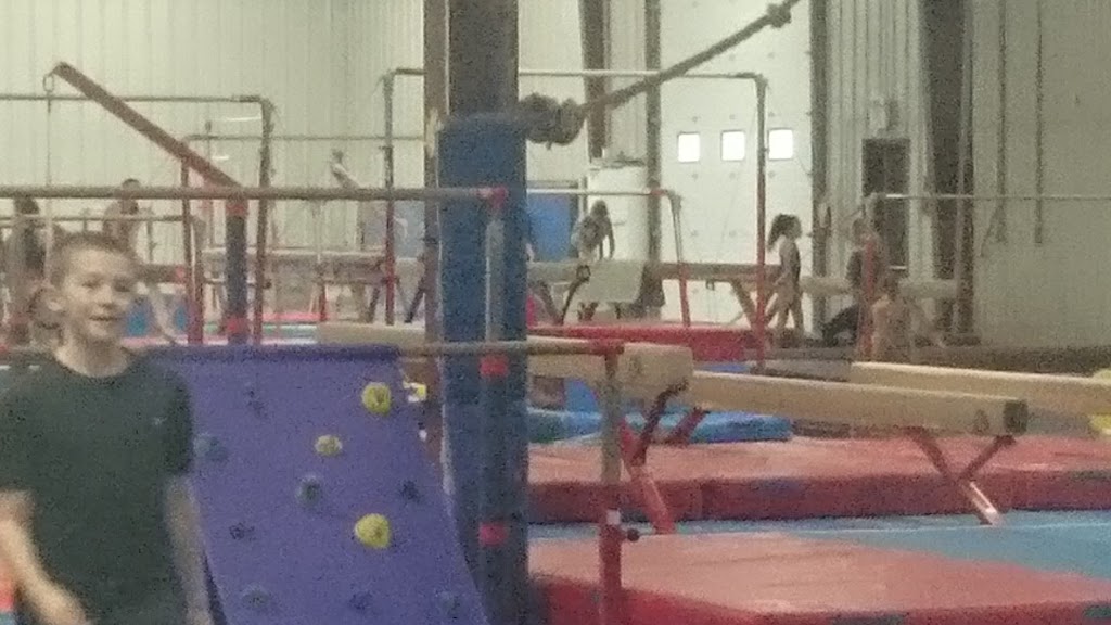 Rose City Gymnastics Inc | 4365 County Rd 42, Windsor, ON N9A 6J3, Canada | Phone: (519) 972-1619