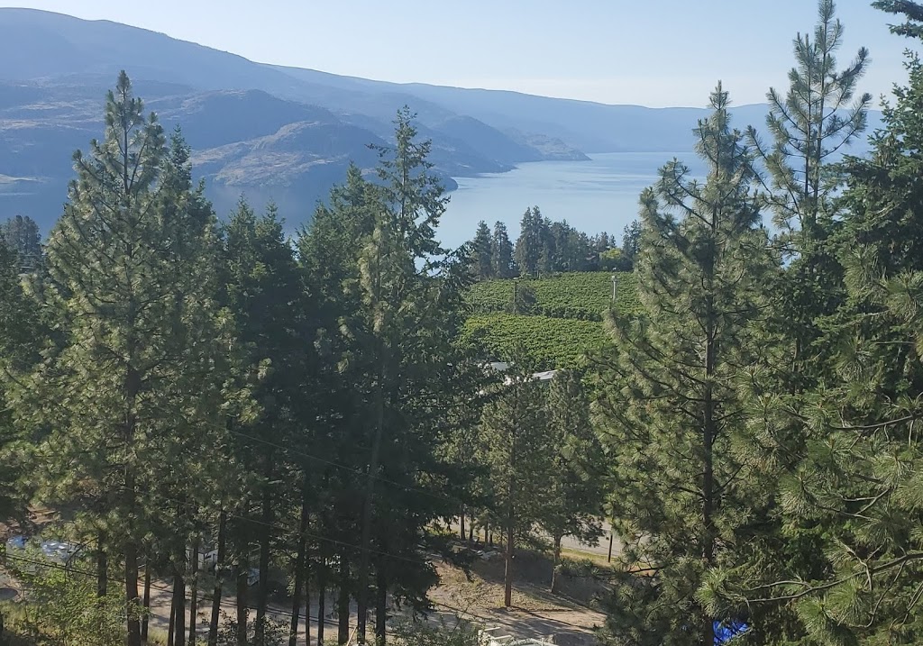 TNP Roofing INC | Suite 350, 2475 Dobbin Rd #22, West Kelowna, BC V4T 2E9, Canada | Phone: (778) 581-4408