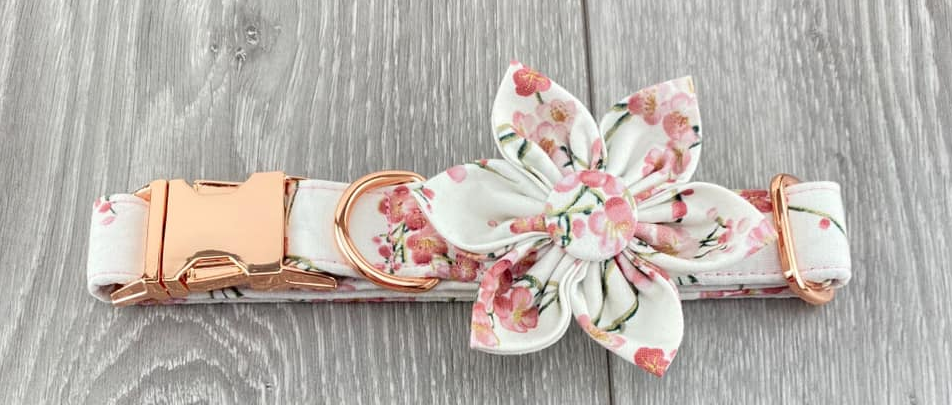 The Grey Dog Collars & Accessories | 8 Sherwood Cresc NW, Calgary, AB T3R 0C7, Canada | Phone: (403) 473-4967