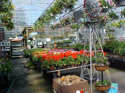 Portal Way Farm And Garden | 6100 Portal Way, Ferndale, WA 98248, USA | Phone: (360) 384-3688