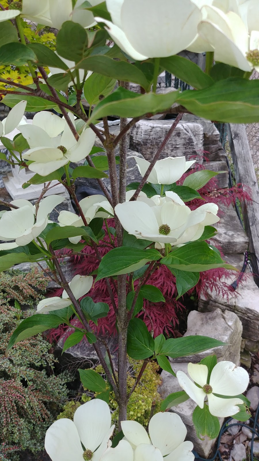 Verbeeks Farm & Garden Ctr | 22 Isaac St, Clinton, ON N0M 1L0, Canada | Phone: (519) 482-9333