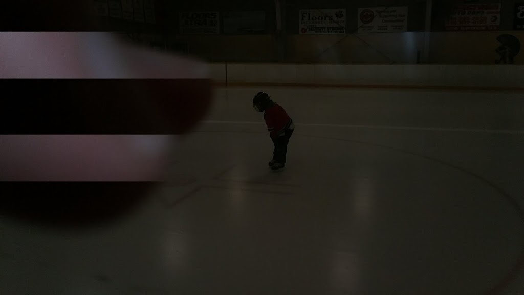 Kingman , Thamesford District Recreation Centre | 85 Middleton St, Thamesford, ON N0M 2M0, Canada | Phone: (519) 485-2490