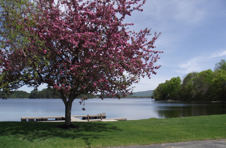 The Lakefront Inn | 127 Cross St, Island Pond, VT 05846, USA | Phone: (802) 723-6507