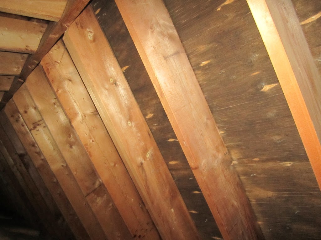 Building Insights Inc. | 9 Jessica Ln, Guelph, ON N1H 6J1, Canada | Phone: (519) 766-7286