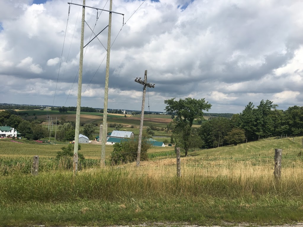 A B Gensets Inc | 3347 Ament Line, Wallenstein, ON N0B 2S0, Canada | Phone: (519) 699-5712