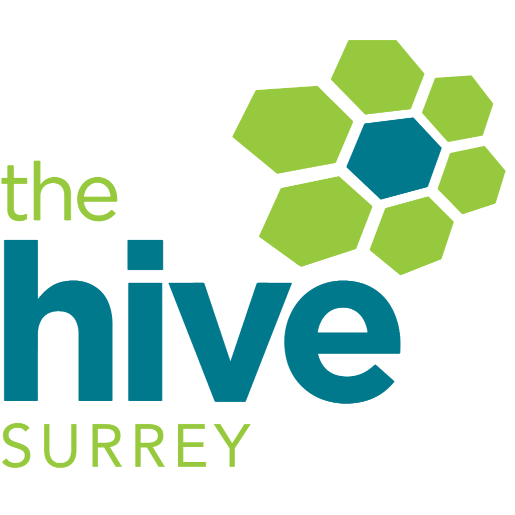 The Hive Climbing and Fitness | #101-B, 11125 124 St, Surrey, BC V3V 4V2, Canada | Phone: (604) 498-5460