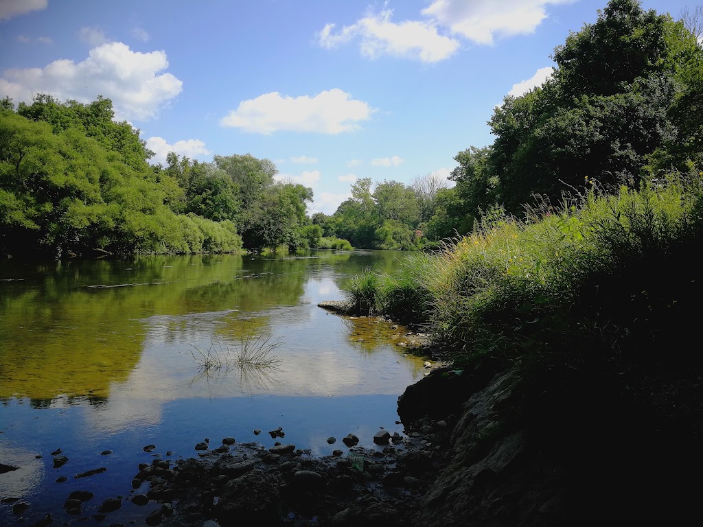 Meadowlily Farm & Bee Rescue | 25 Meadowlily Rd S, London, ON N6M 1C3, Canada | Phone: (519) 520-0424