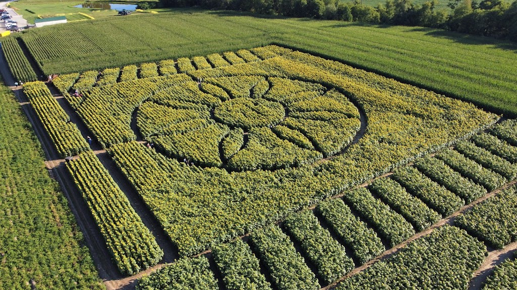 Bragg Farms | 3048 Concession Rd 3, Bowmanville, ON L1C 3K5, Canada | Phone: (905) 623-9198