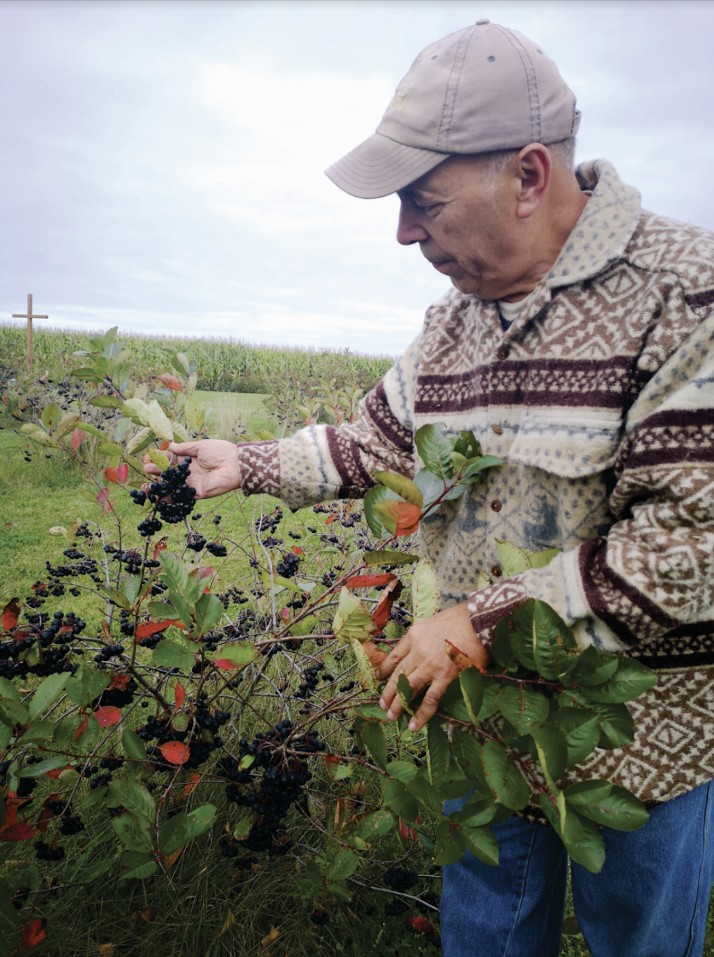 Silvios Aronia Farm | 1251 Scugog Line 8, Port Perry, ON L9L 1B2, Canada | Phone: (905) 985-3555