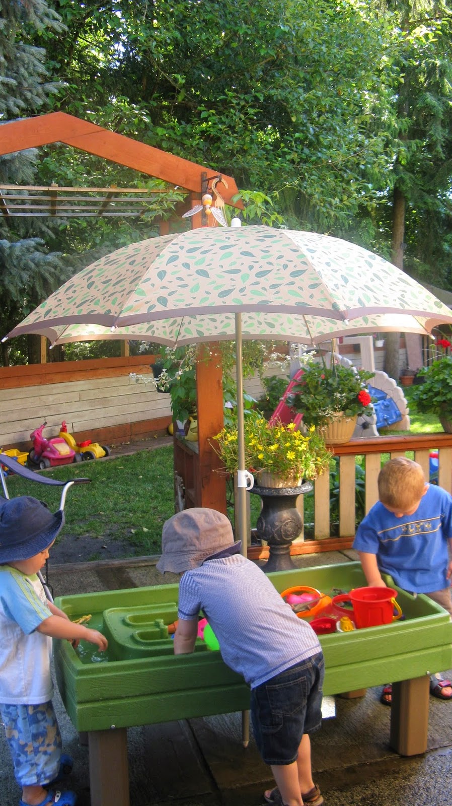Sammys Licensed Family Daycare | 11567 Fraserview St, Maple Ridge, BC V2X 4Y8, Canada | Phone: (604) 467-0505