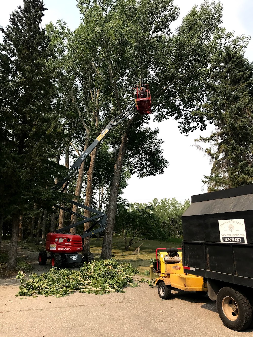 Bordernorth Tree Services & Construction | 224028 Priddis Ridge Rd W, Priddis, AB T0L 1W1, Canada | Phone: (587) 216-8372