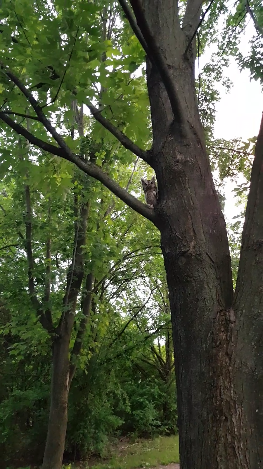 Rathwood District Park | 1095 Rathburn Rd E, Mississauga, ON L4W, Canada