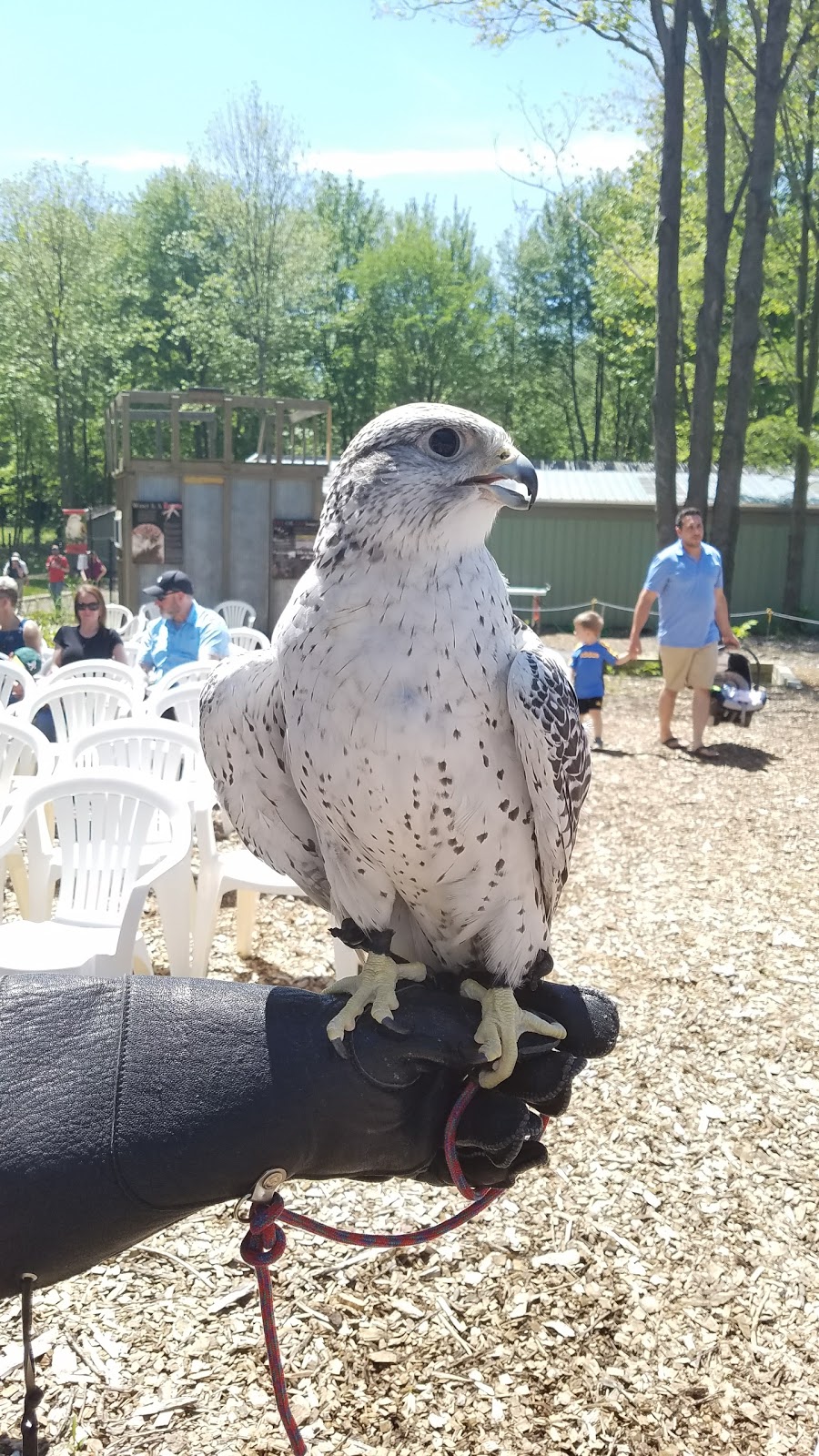 Hawk Creek Wildlife Center | 1963 Mill Rd, East Aurora, NY 14052, USA | Phone: (716) 652-8646
