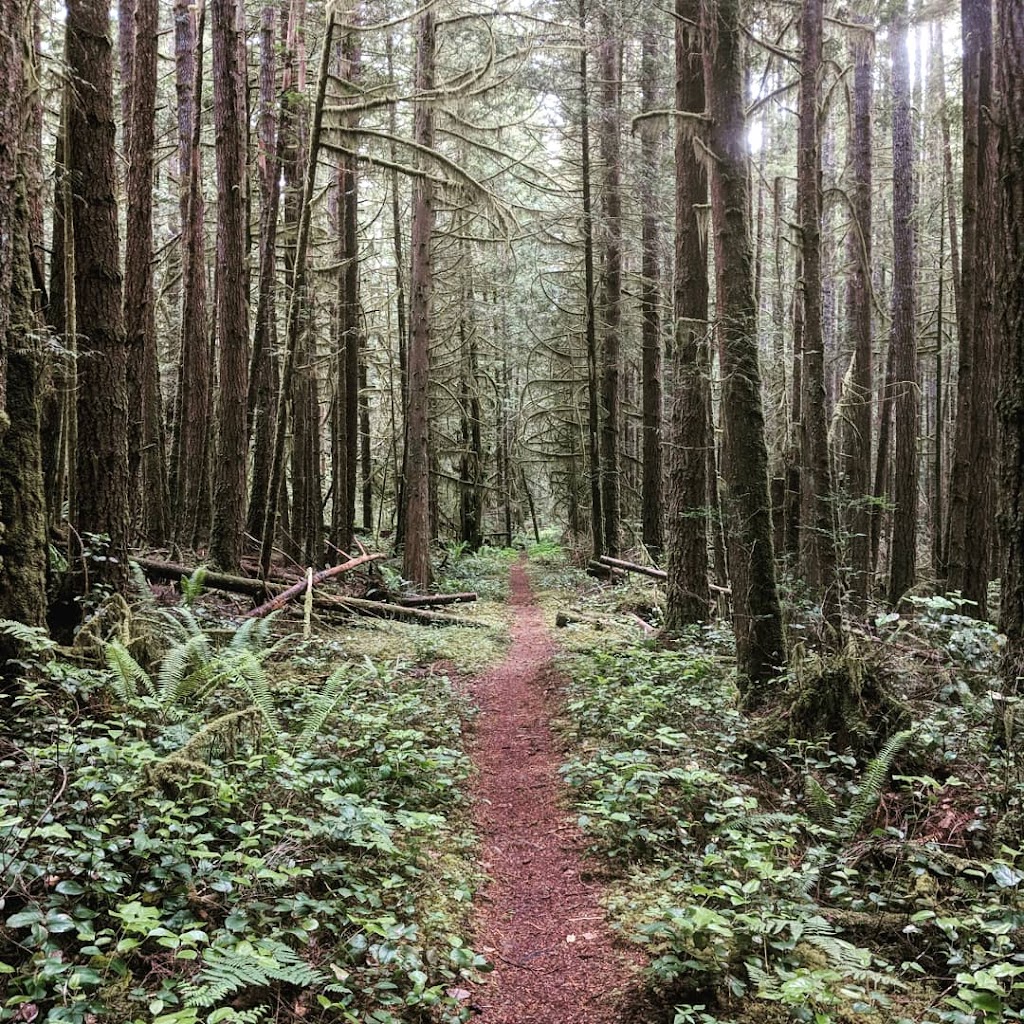 Avas Acre Permaculture Farm & Guesthouse | 5659 Manson Ave, Powell River, BC V8A 3R3, Canada | Phone: (604) 414-4460