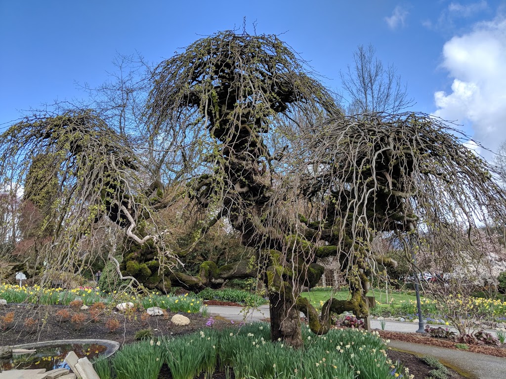 Century Gardens | Burnaby, BC V5G 2J3, Canada