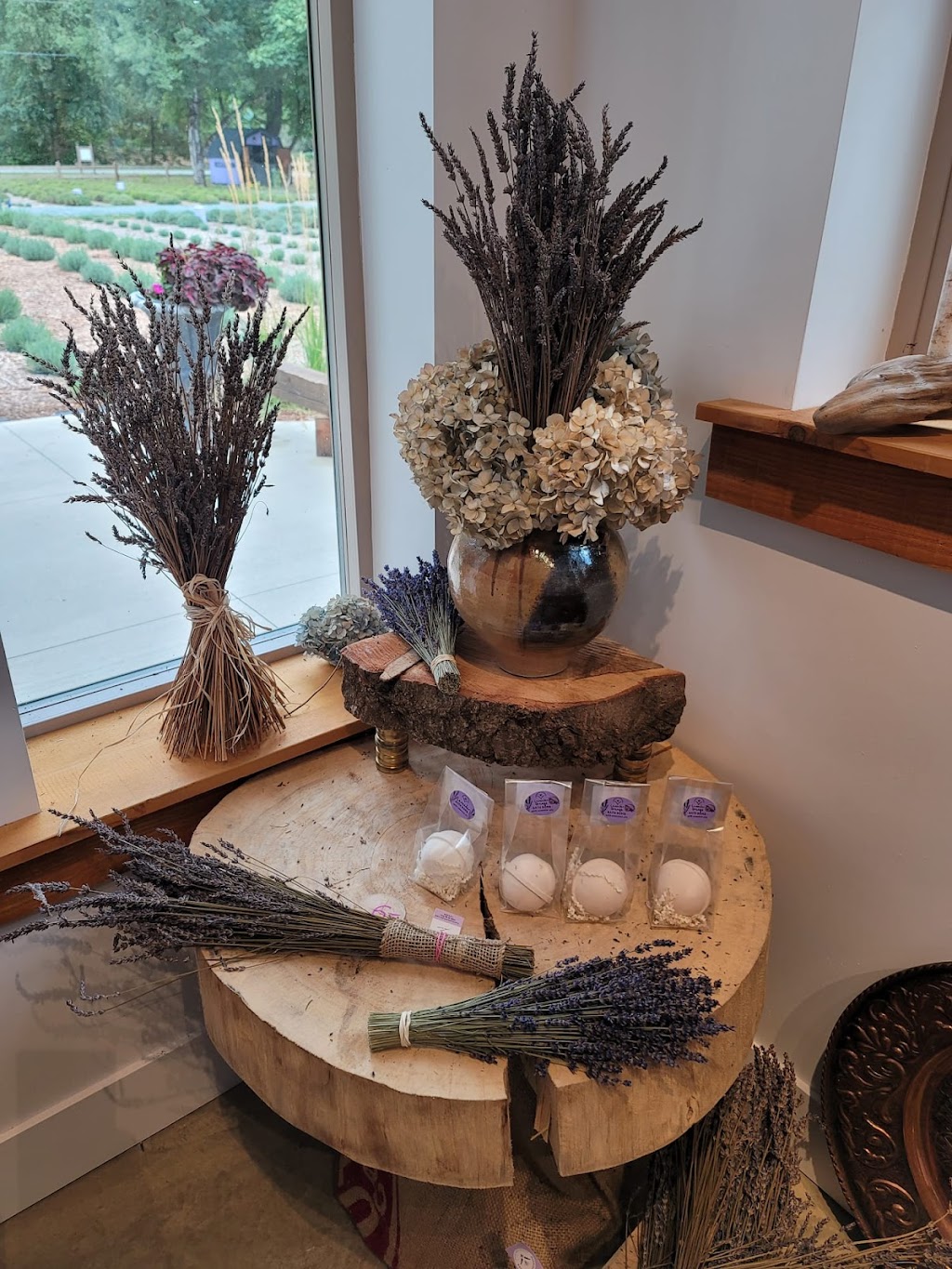 Harrison Lavender | 3777 Wildwood Dr, Agassiz, BC V0M 1A3, Canada | Phone: (778) 985-1039