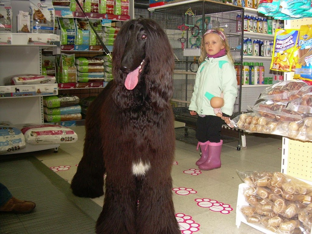 Animalerie Festin Animal | 10516 Bd Sainte-Anne, Sainte-Anne-de-Beaupré, QC G0A 3C0, Canada | Phone: (418) 827-4795