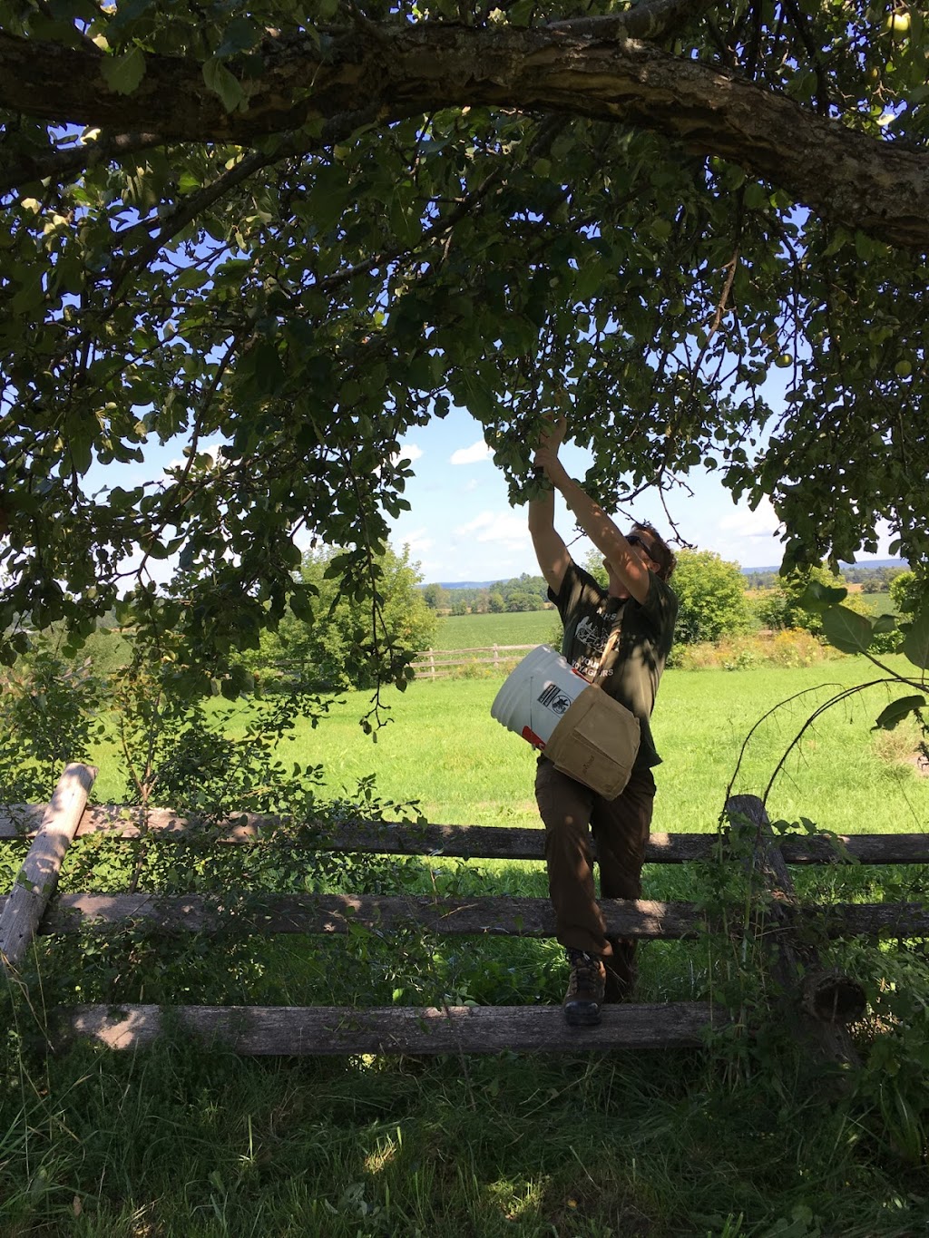 Farmgate Cider | 4547 Mohrs Rd, Arnprior, ON K7S 3G7, Canada | Phone: (613) 291-1788