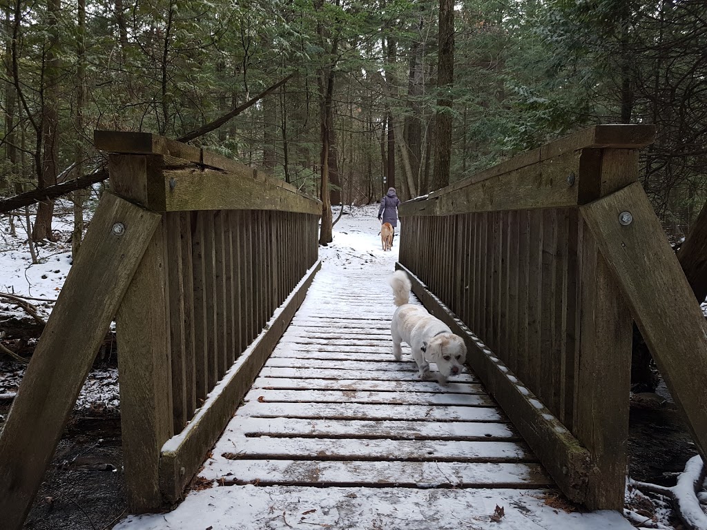Millbrook Valley Trails | 1 Dufferin St, Millbrook, ON L0A 1G0, Canada | Phone: (705) 932-9329