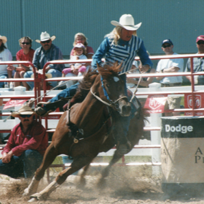 Trickle Creek Farms | 5723 10th Line, Millbrook, ON L0A 1G0, Canada | Phone: (705) 872-8286