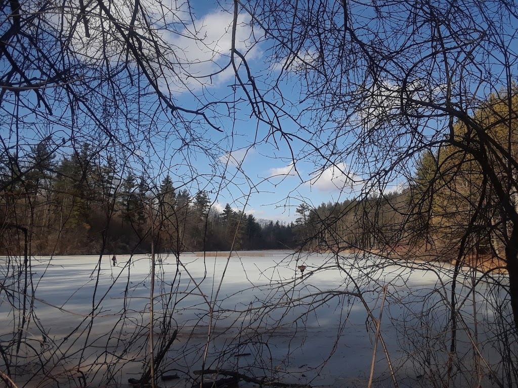 Drynan Regional Forest | 1226 Dumfries Rd, Ayr, ON N0B 1E0, Canada