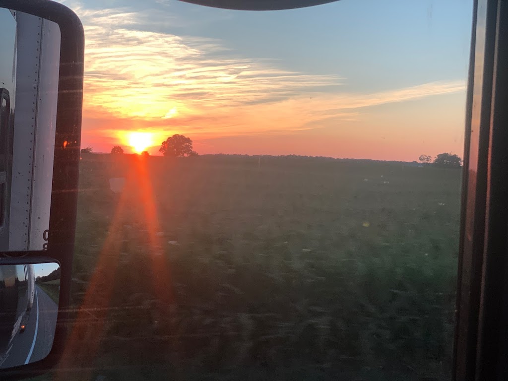 Thomsvue Farms | South Huron, ON N0M 1V0, Canada | Phone: (519) 229-6819