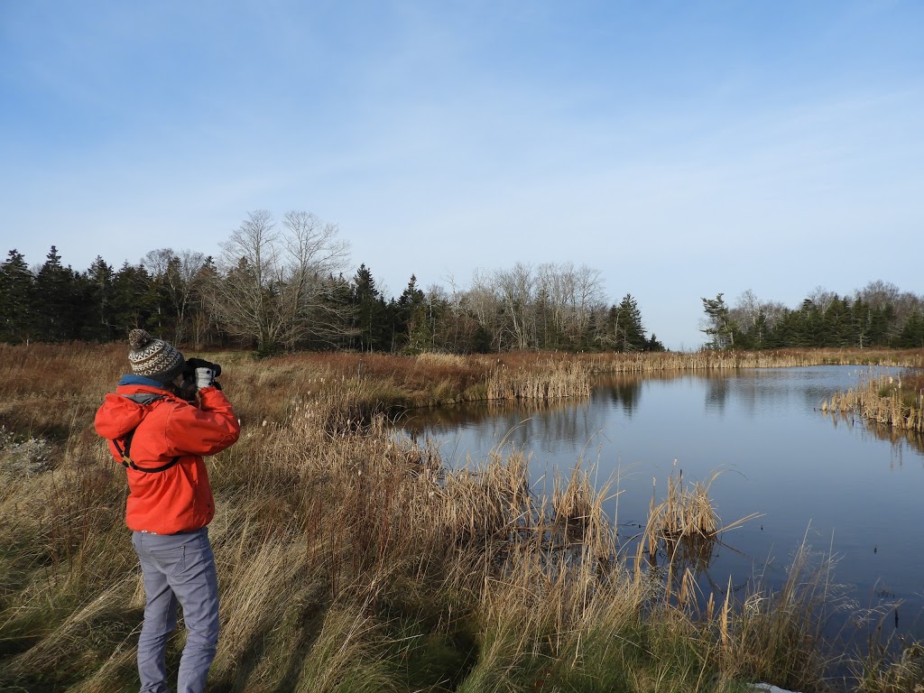 Ross Creek Centre for the Arts | 555 Ross Creek Rd, Canning, NS B0P 1H0, Canada | Phone: (902) 582-3842