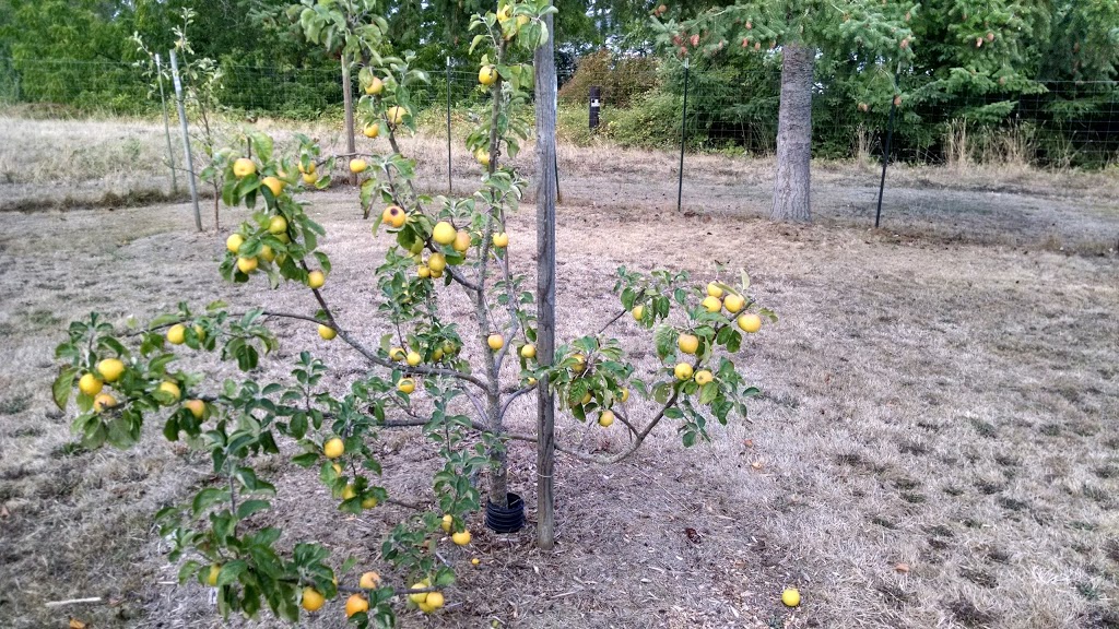 Curry Preserve | 2449 N Nugent Rd, Lummi Island, WA 98262, USA