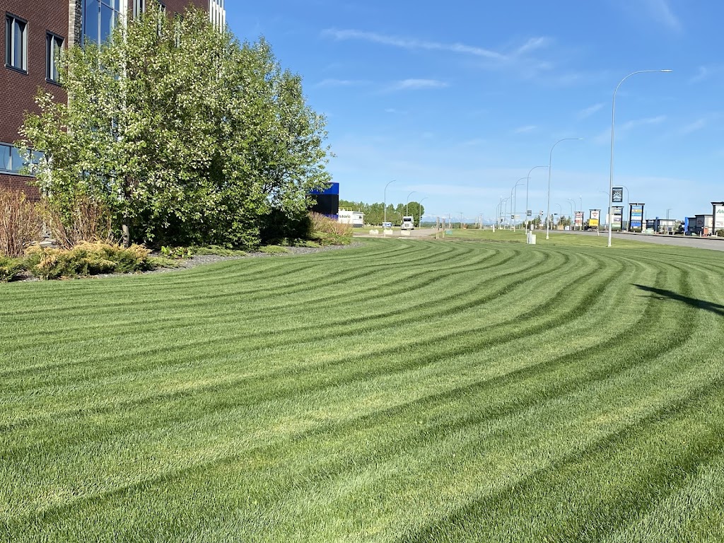 M & M Janitorial/Property maintenance | 52 Isherwood Close, Olds, AB T4R 0B6, Canada | Phone: (403) 586-0410