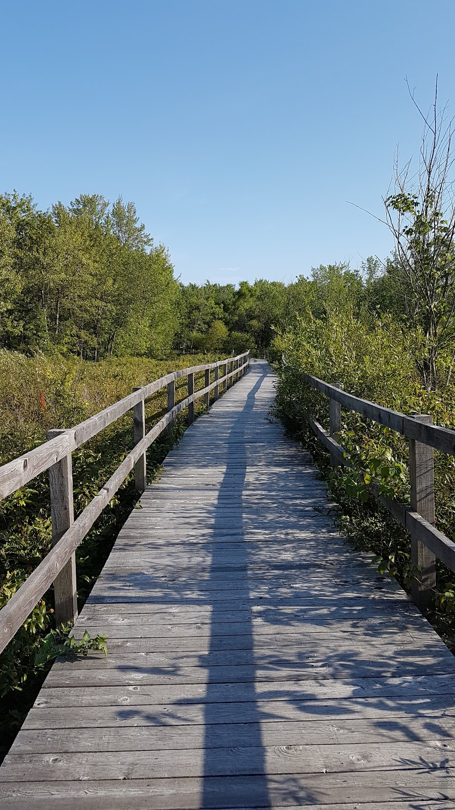 Centre dinterprétation du Ruisseau McFee | 703 Avenue de Venise O, Venise-en-Québec, QC J0J 2K0, Canada