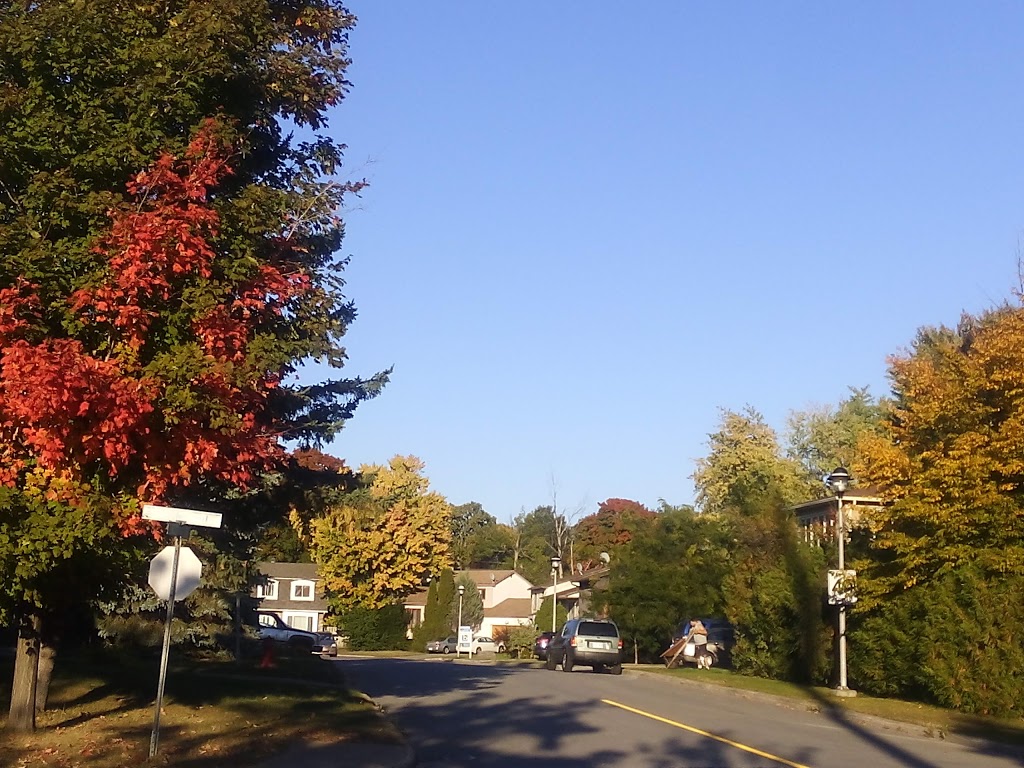 Parc Georges Springate | 4788 Rue Richmond, Pierrefonds, QC H9A 2Z2, Canada | Phone: (514) 872-0311